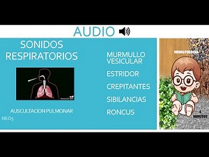 RUIDOS RESPIRATORIOS. AUDIO