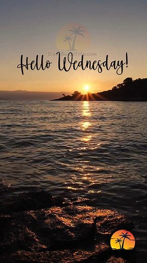 38K views · 1.7K reactions | Hello Wednesday! | I Love The Beach Trips | Facebook