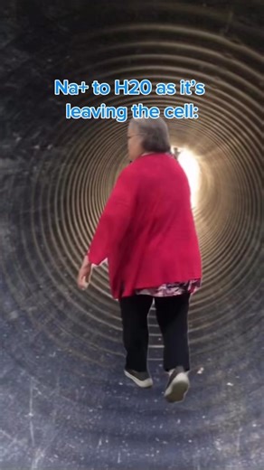 Wow Medicine on Instagram: "🧠💧 Why sodium and water always move together 👇 When Na⁺ leaves a cell, water almost always follows — and it all comes down to osmosis and electrochemical gradients ⚡ Here’s what’s happening step by step ⬇️ 1️⃣ Na⁺ is osmotically active Sodium is the main determinant of extracellular osmolality. When Na⁺ moves out of a cell, it increases solute concentration outside the cell. 2️⃣ Water follows the gradient Water moves freely across cell membranes through aquaporins,