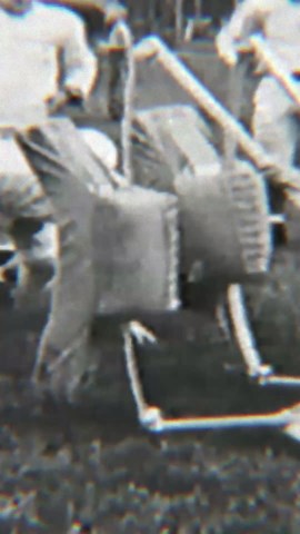 Cleveland Browns: Dawg Pound Built to Roar (Part 1)