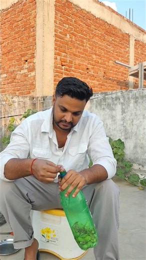 How to Make Bio Enzyme at Home | Natural Liquid Fertilizer for Plants 🌱🍊