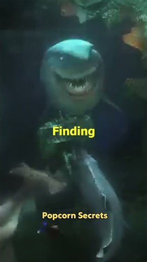 Finding Nemo…and BRUCE???