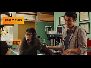 EL PLANETA DE LOS SIMIOS ORIGEN Y REVOLUCIÓN - Cesar Le dise que la envite a salir| pelis y clips HD