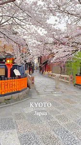 1.2M views · 53K reactions | This is Sakura  in Kyoto #sakura | Edo Japan Travel | Facebook