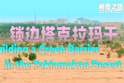 How did people encircle China's largest desert with a green belt？