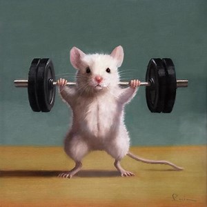 Happy #WorkoutWednesday! Nothing screams leg day louder than a good squat session. This one is 8”x8” – Gym Rat – Back Squat . . . . . . . . . . . . . #luciaheffernan #workout #squat #fitness #legday #gymrat #gym | Lucia Heffernan