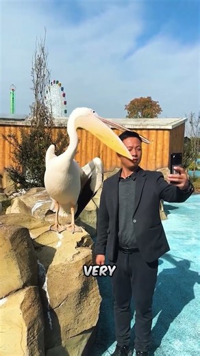 These Birds Are Cannibals! You Won't Believe What He Eats!