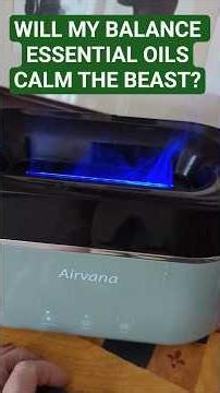 ADDING BALANCE ESSENTIAL OILS IN HUMIDIFIER TO CALM THE AFTER WORK BEAST 😂 #balance #essentialoils