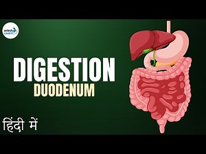 Life Processes - Lesson 07 | Role of Duodenum - in Hindi (हिंदी में ) | Don't Memorise