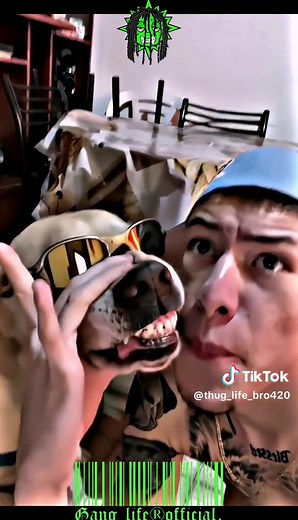 Dog BeatBoxing with Escobeditto - Funny and Entertaining Moments!