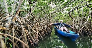 Thousand Islands Mangrove Kayak Tour | Cocoa Kayaking