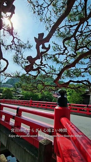 #飛騨高山 新緑の中橋