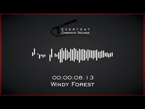 Windy Forest | HQ Sound Effect