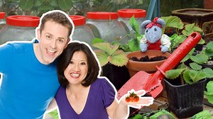 Miss Mouse's Tomato Tale