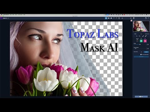 Topaz Labs MASK AI Tutorial