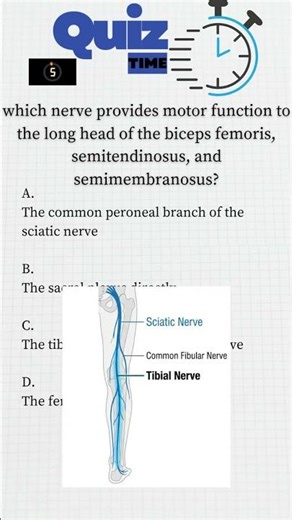 Quick MMT Quiz: Spot Your Weakness!#PhysiotherapyQuiz #MMT #MuscleTesting #PhysioShorts #BPT #MPTPre