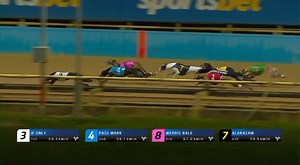 48K views · 1K reactions | Group Listed Hawkswell Cup | 730m The Meadows 磊LATE NIGHT NEWS (Caroline Hughes) 賂IF ONLY (Rob Camilleri) 雷SCOTCH TIME (Geoff Mitchell) Time: 42.71 Owner: Caroline Hughes Breeding: Fernando Bale x Zipping Kelly  WatchDog Racing | THE GREYHOUND GIRL | Facebook
