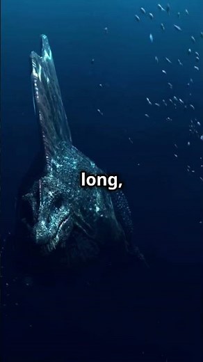 What is Lurking in Bahamian Waters? The Terrifying Sea Monster Lusca!