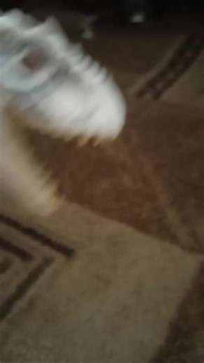 Відео користувача november ajax (@november_ajax6) з композицією «nhạc nền - 2or0 - Movie Clips Scene»