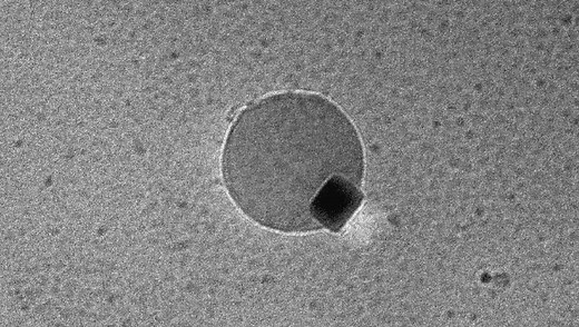 Astonishing Video Shows Hydrogen And Oxygen Forming Water At The Nano Scale