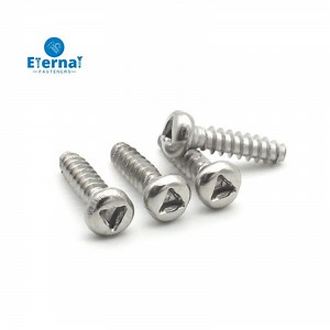 [Hot Item] Tamper Proof Security Fasteners Triangle Drive Tr Thread Forming Screws