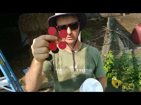 Installing A First Flush Diverter in a Rainwater Harvesting System