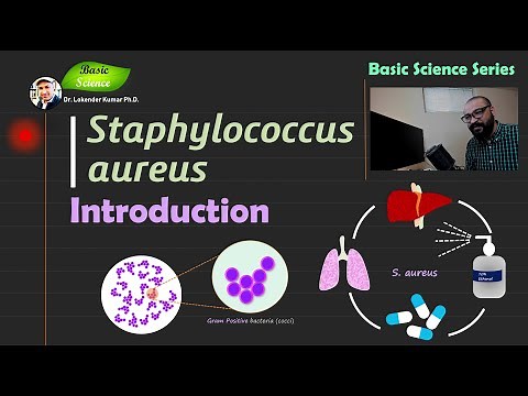 Staphylococcus aureus | Introduction | Bacteriology | Basic Science Series