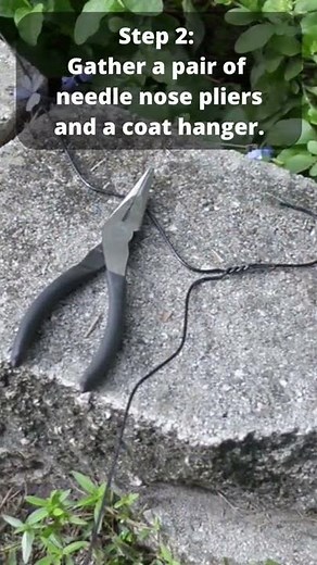 Clean Your Pool Pump Impeller in 8 Steps #shorts