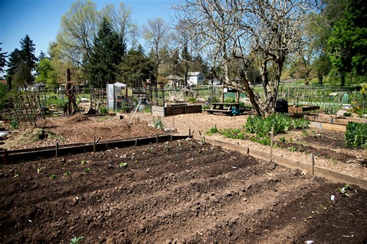 April gardening guide: When to plant, trim and fertilize in Oregon