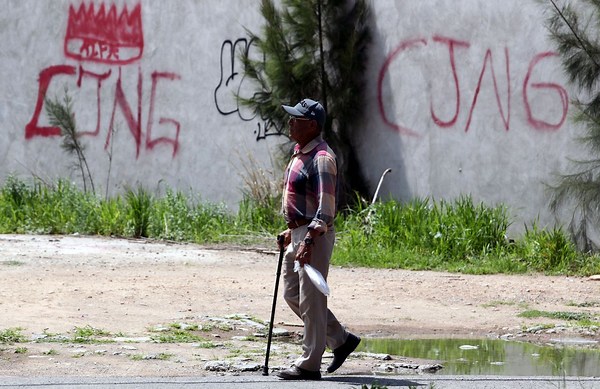 Mexican cartels expand beyond drugs into economic sectors: Report