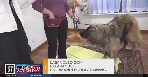 Lab and Leo Dog Training, 7am