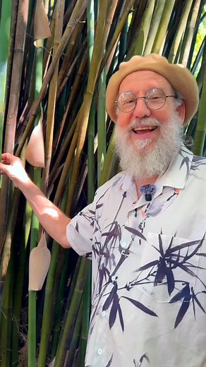 A soothing flute to de-stress! #flute #bamboo #flutemaker #relaxing #asmr | Erik The Flutemaker