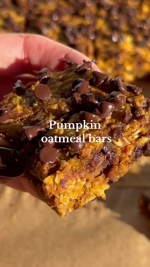 Delicious Chocolate Chip Pumpkin Oatmeal Bars Recipe