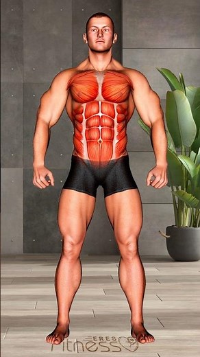 Pectorales y abdominales en casa para todos los niveles.