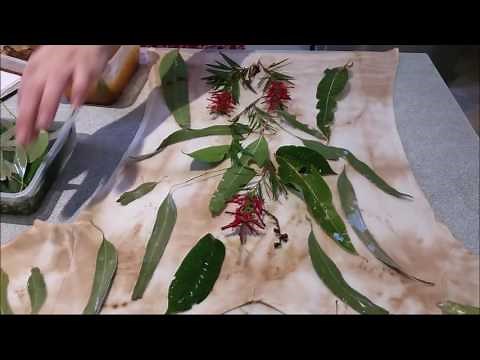 How to eco-print a tee shirt - full details