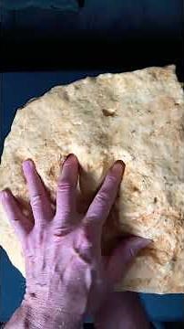 Fossil Hand Print in "300 Million Year" Rock Means Scientific Dating Methods Are WRONG.