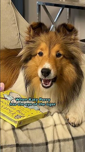 Lifetime BAN from the ZOO??? e584-2