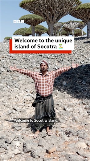 Welcome to the unique island of Socotra. 🏝️🇾🇪 The Yemeni island is rich in unique wildlife, rare plant species and striking natural beauty. The ancient Soqotri language is one of the world’s most endangered. Locals are striving to preserve it for future generations through traditional poetry and folk tales. 🎧 More about saving endangered languages https://bbc.in/4nfsG6X | BBC World Service