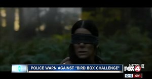 Local officers warn against viral 'Bird Box Challenge'