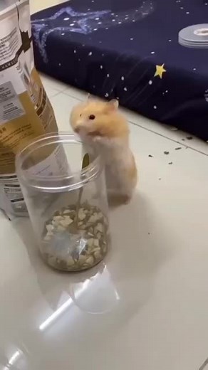 #foryoupageofficiall #fypシ