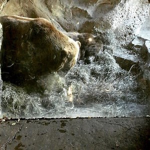 5.7K views · 240 reactions | It’s getting chilly outside and the...