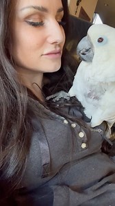 301K views · 32K reactions | The Parrot Lady on Reels | Facebook