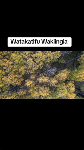Song Title: Watakatifu Wakiingia Youtube: Bride Of Christ Ministry This is a translation of the hymn Ŵhen the saints go marching in #hymn #swahiligospel #messageofthehour #endtimemessagebelievers #sdasongs