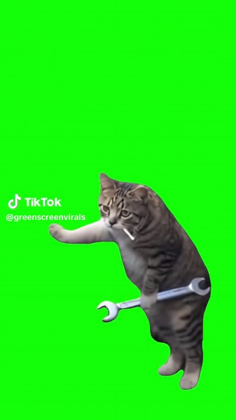 Cat Mechanic Meme Green Screen