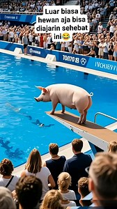 Sudah melebihin kepintaran manusia luar biasa ciptaan Tuhan #sorotan #jangkauanluas #bonus #fypviral | Elpi Rod Kutas