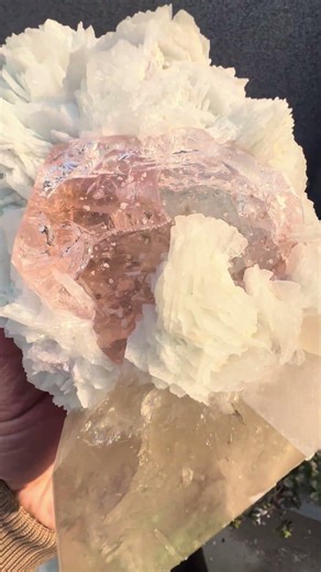 Morganite with Tourmalines, Quartz and Albite