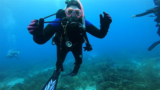 Hello??? Make friends in the water, it's fun! #NorthCarolina #scubadiving #adventuretravel #LikeFollowShare #fypreelsシ゚viralシ | Adventures In Scuba NC