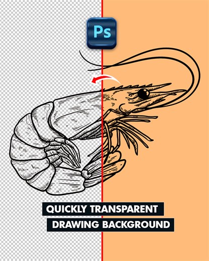 40K views · 341 reactions | How to quickly separate detailed line drawing background and make it transparent in adobe photoshop #bigsmileediting | Graphic Influence | Facebook