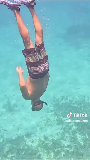Isla Cozumel on TikTok