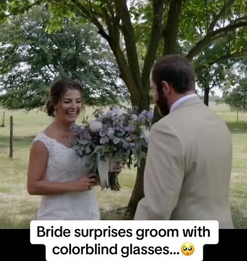 Heartwarming Colorblind Glasses Reaction